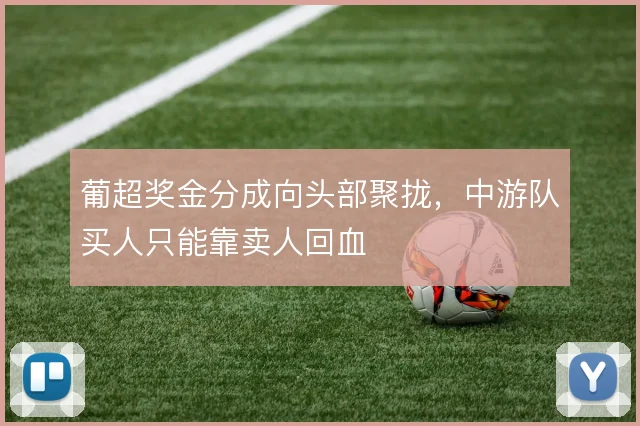葡超奖金分成向头部聚拢，中游队买人只能靠卖人回血