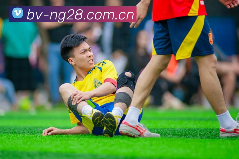 ng28品牌故事